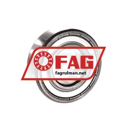 FAG 6205-C-2Z-L100-C3