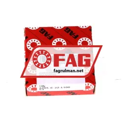 FAG 6205-C-2Z-L100-C3 rulman resim 3