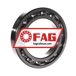 FAG 6018-C3