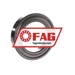 FAG 6016-2Z-L069-C3