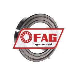 FAG 6016-2Z-L069-C3 rulman resim 2
