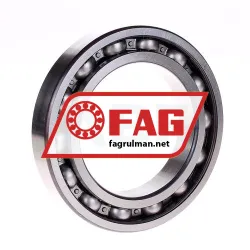 FAG 6018-Z rulman resim 2