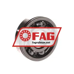 FAG 6304-N rulman resim 2