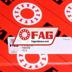 FAG 16036-C3 rulman resim 5