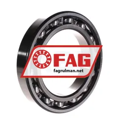FAG 16019-C3