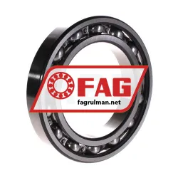 FAG 16019-C3 rulman resim 2