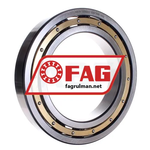 FAG 6036-M