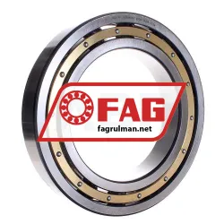 FAG 6036-M