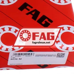 FAG 6036-M rulman resim 5
