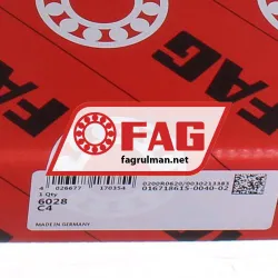 FAG 6028-C4 rulman resim 4