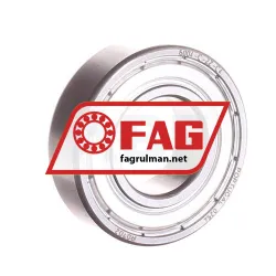 FAG 6004-C-2Z-C4