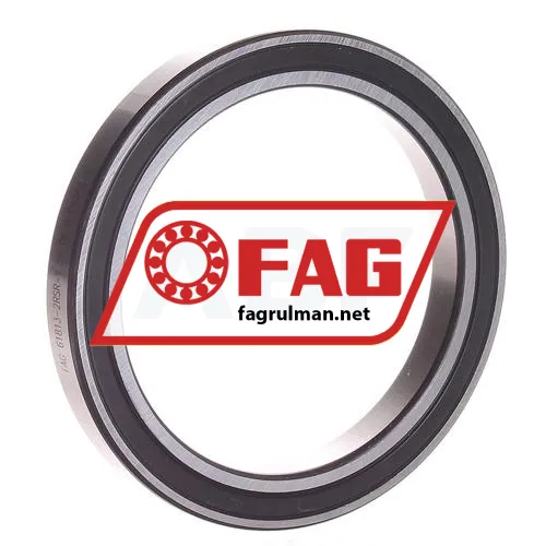 FAG 61813-2RSR-Y