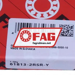 FAG 61813-2RSR-Y rulman resim 5