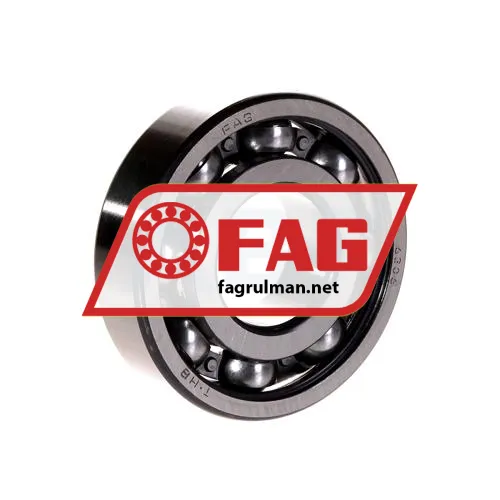 FAG 6306