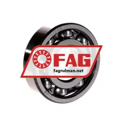 FAG 6306