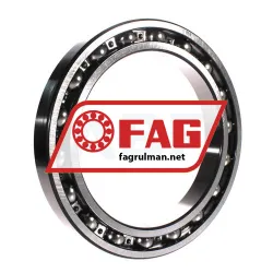 FAG 61938