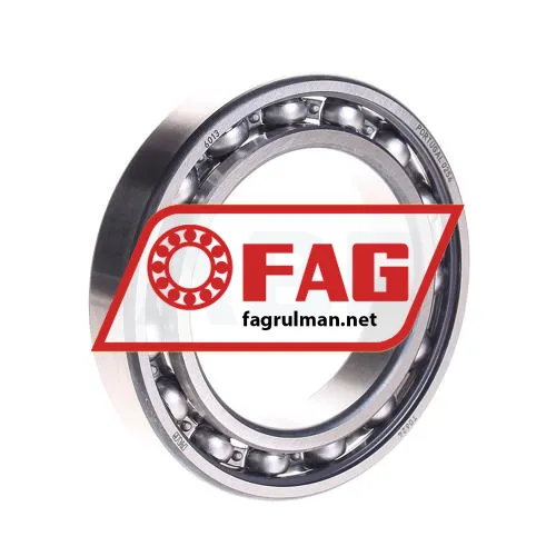FAG 6013