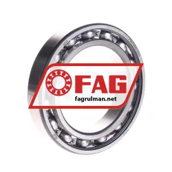FAG 6013