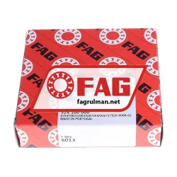 FAG 6013 rulman resim 2