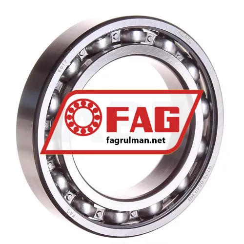 FAG 6012