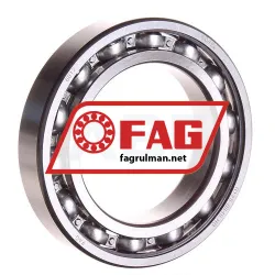 FAG 6012