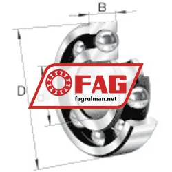 FAG 6012 rulman resim 4