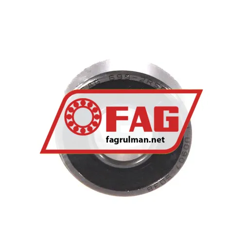 FAG 698-2RSR-HLC