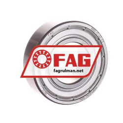 FAG 6004-C-2Z-C3