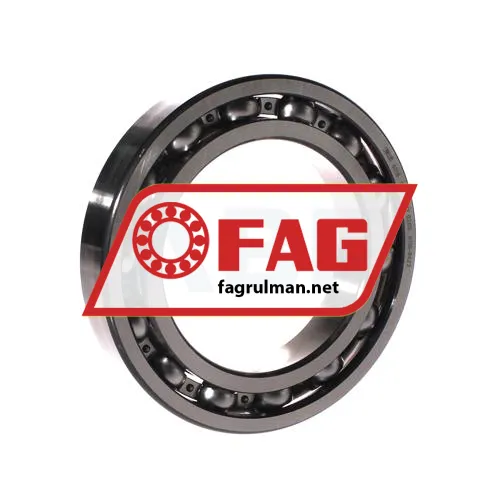 FAG 6018