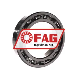 FAG 6018