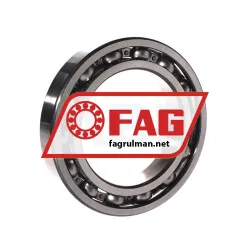 FAG 6018 rulman resim 2