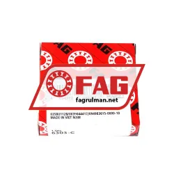 FAG 6303-C rulman resim 3