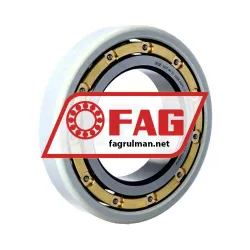 FAG 6217-M-S1-J20B-H67C-C4