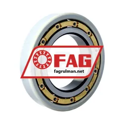 FAG 6217-M-S1-J20B-H67C-C4 rulman resim 2