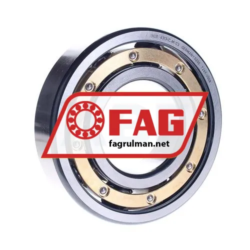 FAG 6313-C-M-C3