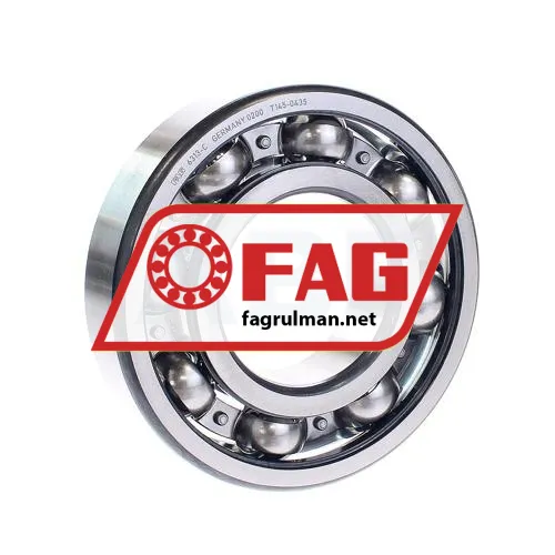 FAG 6313-C