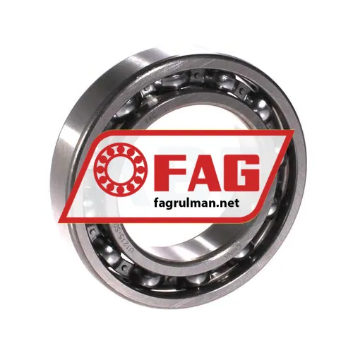 FAG 6009-H