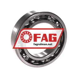 FAG 6009-H