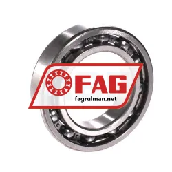FAG 6009-H rulman resim 2