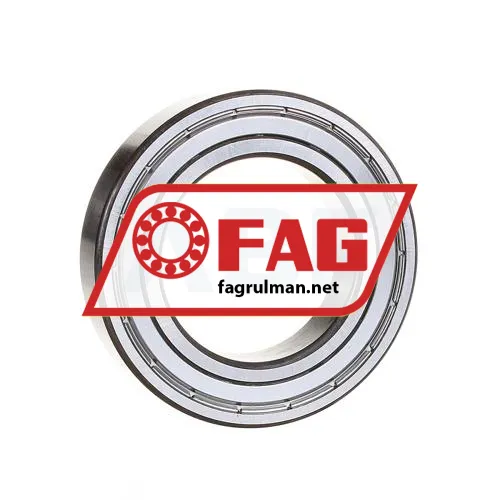 FAG 6009-2ZR-C3