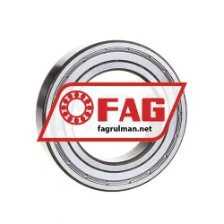 FAG 6009-2ZR-C3