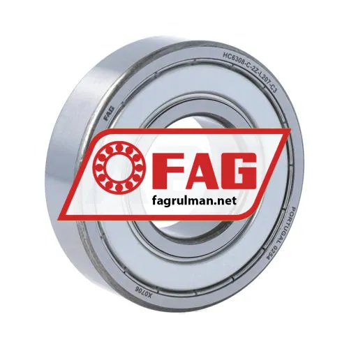 FAG HC6308-C-2Z-L207-C3