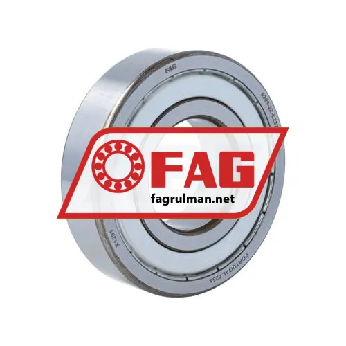 FAG 6309-2Z-L237-C4