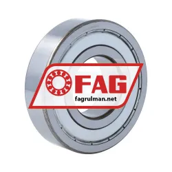FAG 6309-2Z-L237-C4 rulman resim 2