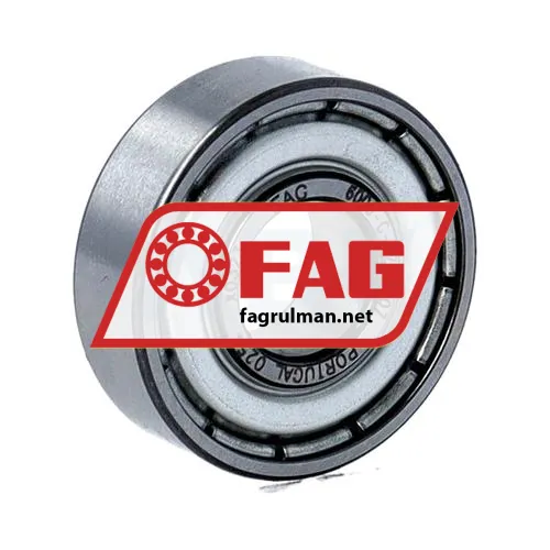 FAG 6000-C-2Z-L207