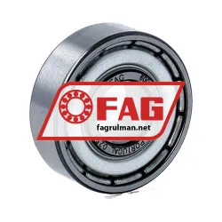 FAG 6000-C-2Z-L207