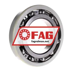 FAG 6230-J20AA-C3 rulman resim 2