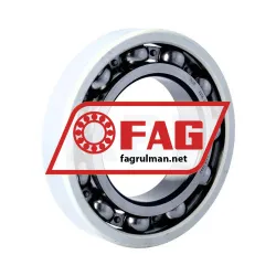 FAG 6216-J20AA-C4