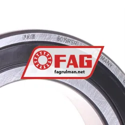 FAG 6015-RSR rulman resim 2