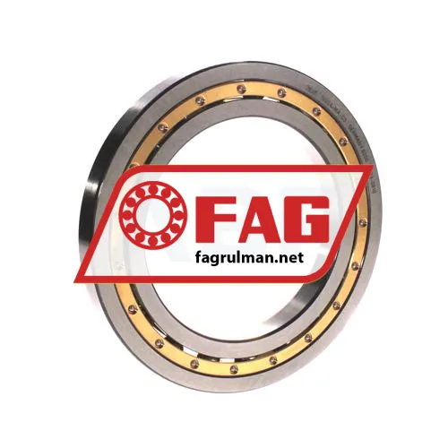 FAG 16024-C4